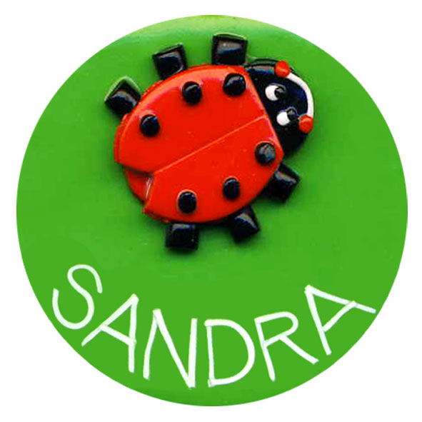 Ladybird on Round - Animal Badge