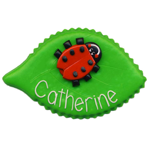 Ladybird on Leaf - Animal Badge